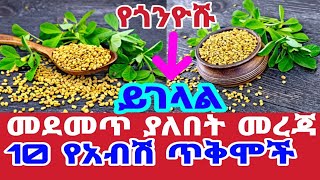 10 አስደናቂ የአብሽ ጥቅሞች | የጎንዮሹ ይገላል | 10 Health Benefits of Fenugreek Seeds