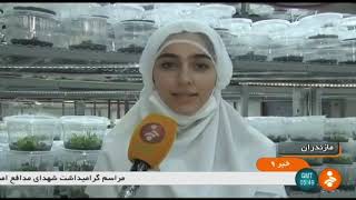 Iran Plants tissue cultivation method report, Mazandaran province روش كشت بافت گياهان مازندران