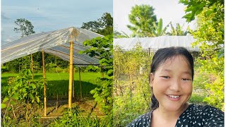 Low cost Tunnel for growing vegetable in Nepal❤️‍🩹🥰