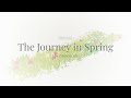 The Journey in Spring | Interactive Web 3D Demo | Mouse-Hover Effects with Three.js