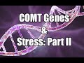 The COMT Gene Part II: Why genes cause stress (IB Health Psychology)