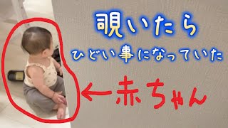 【ついに兄妹揃って悪さを始めた😅】2歳＆0歳8ヶ月 Japanese baby