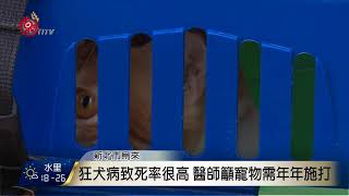 新北狂犬病巡迴注射 烏來民帶毛小孩施打 2017-11-01 TITV 原視新聞