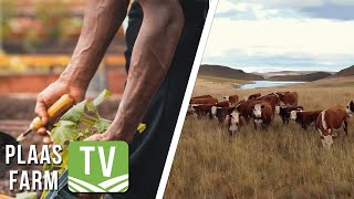 Nedbank oor landbou en werkskepping / Kevlynn Herefords: Farm TV 2 Jan 2023