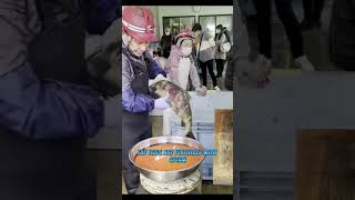 HOW ARTIFICIAL SALMON BREEDING EXPLAINED #shortvideo #facts #subscribe