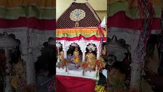 Jal jhulni gyaras #jal jhulni gyaras #viman #vlogs #bihari #radhakrishna