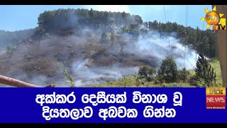 අක්කර දෙසීයක් විනාශ වූ දියතලාව අබවක ගින්න - Hiru News