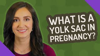 What is a yolk sac in pregnancy?