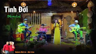 Tình Đời ( Duyên Kiếp Cầm Ca ) Phương Linh Bolro Mái Lá -  Hát Live