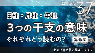 日柱・月柱・年柱、それぞれどんな意味？どう解釈する？陰占にある3つの干支をどうやって捉えるか SSY37日目【算命学/宿命/陰陽五行論】