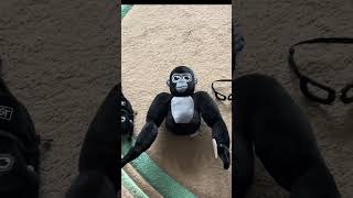 Monke arrived #subscribe #vr #gorrilatag #gorrila #monkey #plush #unboxing #welcome #merch