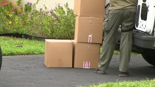 About $500,000 worth of marijuana seized during grow house busts, deputies say