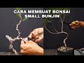 Cara Membuat Bonsai Small Gaya Bunjin