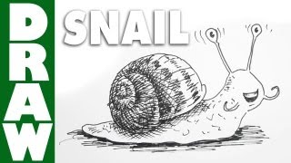 Draw a Slimy Squishy Snail!