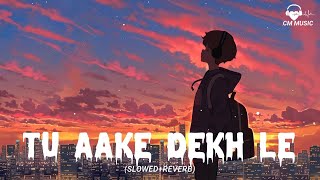 KING-TU AAKE DEKH LE (Slowed+Reverb) Lofi Song || CM MUSIC ||
