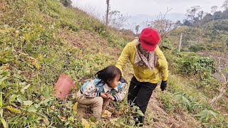 The orphan girl wandered around looking for food, with no one to help her