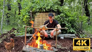 Forest Shelter Build and Fire-Cooked Chicken Adventure | Solo Survival!