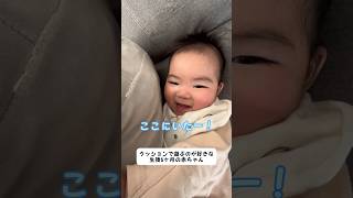 クッションで遊ぶのが好きな生後6ヶ月の赤ちゃん#shorts#baby#Japanese#赤ちゃん#あかちゃん#赤ちゃんのいる生活#赤ちゃんのいる暮らし#育児#子育て#生後6ヶ月