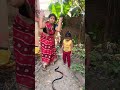 বাবু দেখ এই কি সাপ 🐍🐍 shots tendring funny viralvideo shotsvideo 😰😆