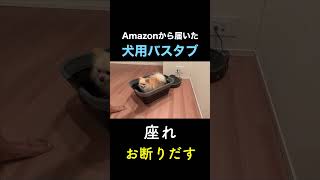 Amazonで買った（買ってもらった）バスタブ