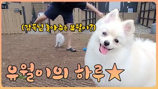 [Freecs Kart] 재생버튼 무조건 클릭할 수밖에 없는 영상｜유월이 안녕하개🐶