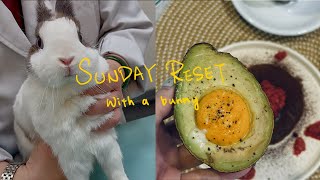 Taipei Vlog | Sunday Reset, Homemade Pancakes \u0026 Bunny’s Vet Visit 🐰🥞