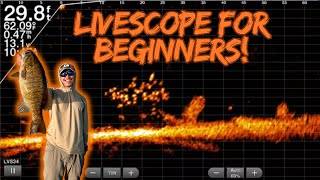 LiveScope for Beginners: Catch More Fish FAST!
