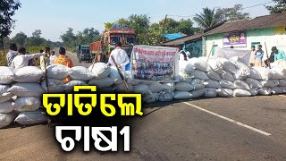 Malkangiri: Farmers block road with paddy sacks over Mandi issue | Kalinga TV