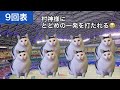 中日ファンが現地観戦に行っただけの話 2024年9月11日 ヤクルト戦 【猫ミーム】　 猫ミーム 中日ドラゴンズ