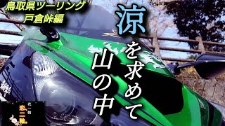 鳥取県ツーリング R29 戸倉峠編 ZX14R バイクツーリング 【モトブログ】涼を求めて山の中