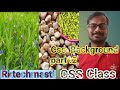 Css background image | Css background Image Size | Css background image repeat