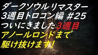 PS4　1080p60f配信　ダークソウルリマスター♯25　トロコン編　そろそろ最終回（今回ゲリラ）　3周目ビビりプレイ　※たまに発狂するので注意です　ネタバレ、攻略情報等はご遠慮ください