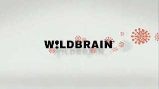 Wildbrain/Nickelodeon (2008)