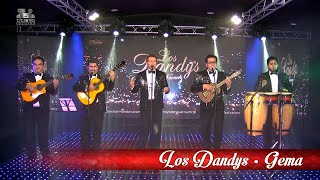 Los Dandys de Armando Navarro - Gema, ¡En Vivo!