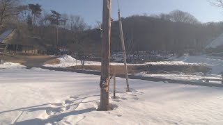 みちのく民俗村ライブ 2023.02.21 08:35