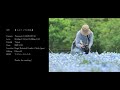 【ネモフィラ】長居植物園のネモフィラ｜nemophila of nagai botanical garden