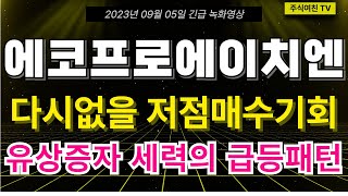 [에코프로에이치엔 주가전망] 지금 유상증자 갭하락으로 인한 바닥구간이 무조건 기회 일 수 밖에 없는 이유!