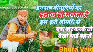 Wheatgrass Benefit🪴गेहूं के जवारे से कौन-कौन से फायदे हैं जाने जरूर //Bhura vaid