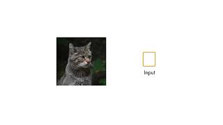 Deep Learning: Training Deep Networks from Scratch