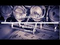 Post Malone, Swae Lee - Sunflower - Flute Sheet Music