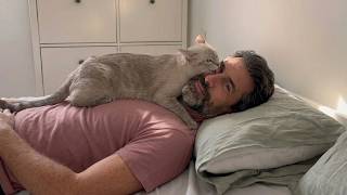 Dad Didn’t Want a Cat… This Happened 😹