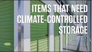 Items that Need Climate-Controlled Storage