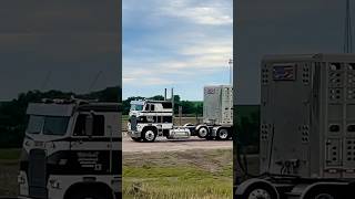 COOL Freightliner Cabover pulling a livestock trailer