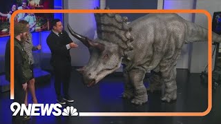 Immersive dinosaur experience arrives in Denver