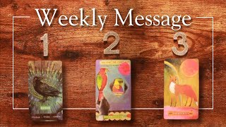 WEEKLY MESSAGE #9 -- Pick A Card