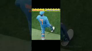 Wicket Keeper Impossible Catch  🤯 #shorts #cricket