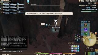 FF14 GRANSEEDS エウレカ：ピューロス編　LV35 珊瑚狙いのしあわせうさぎ　黄金の財宝箱１２