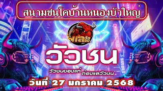 #วัวชนวันนี้ #ถ่ายทอดสดวัวชน #วัวชนสด สนามชนโคบ้านหนองบัวใหญ่ วันที่ 27/01/2568 #วัวชน