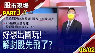 【台股反彈藍圖規畫 挑戰年線非夢事?走過景氣谷底深淵 觀光股的好日子來了?龍頭股蓄勢待發】20220602(第3/8段)股市現場*鄭明娟(黃靖哲)