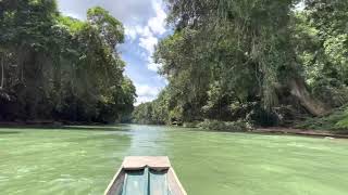 Boat Trip From Tun Jugah’s Long House, Nanga Entuloh River